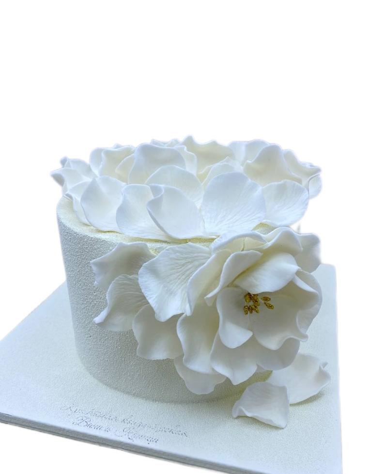 Торт поздравление Молочная девочка #229 на сайте https://cake64.ru/ кондитерской Ваниль Корица